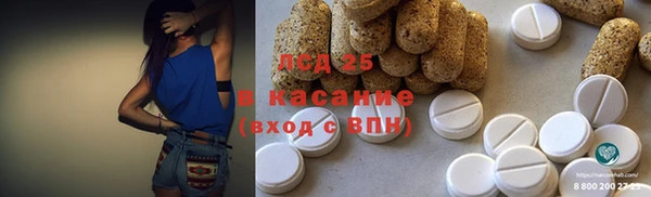 хмурый Аркадак