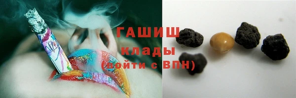 хмурый Аркадак