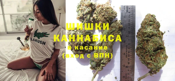 хмурый Аркадак