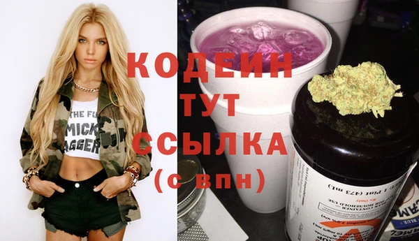 хмурый Аркадак