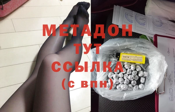 хмурый Аркадак