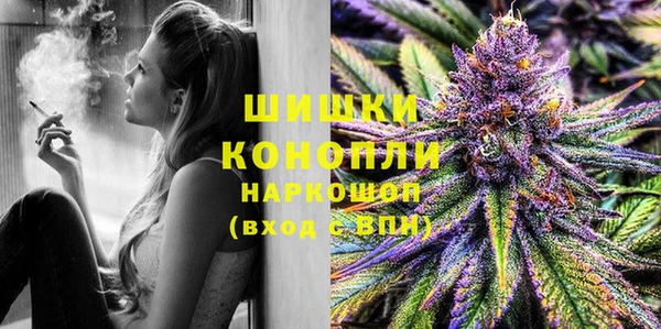 хмурый Аркадак