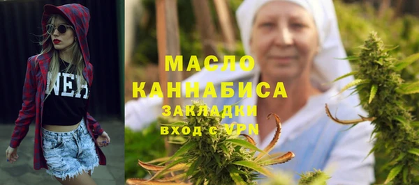 хмурый Аркадак